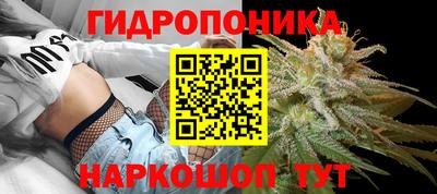 гидропоника Канаш